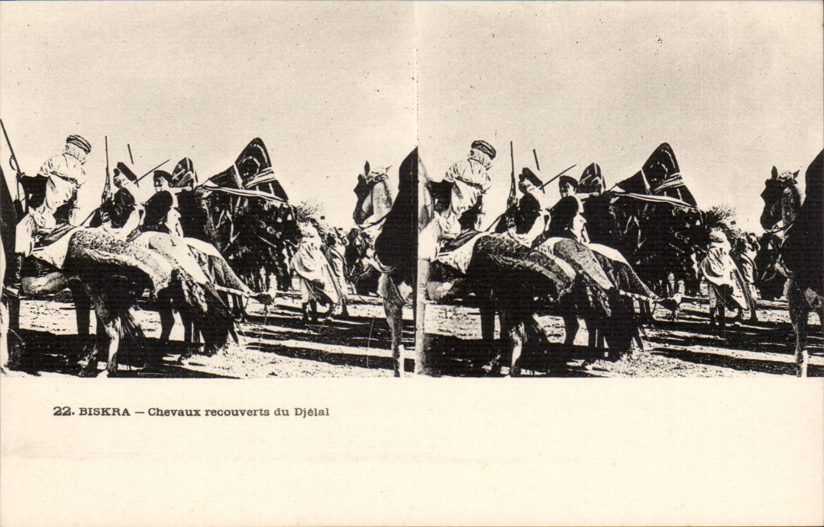 Biskra — Chevaux recouverts du Djélal