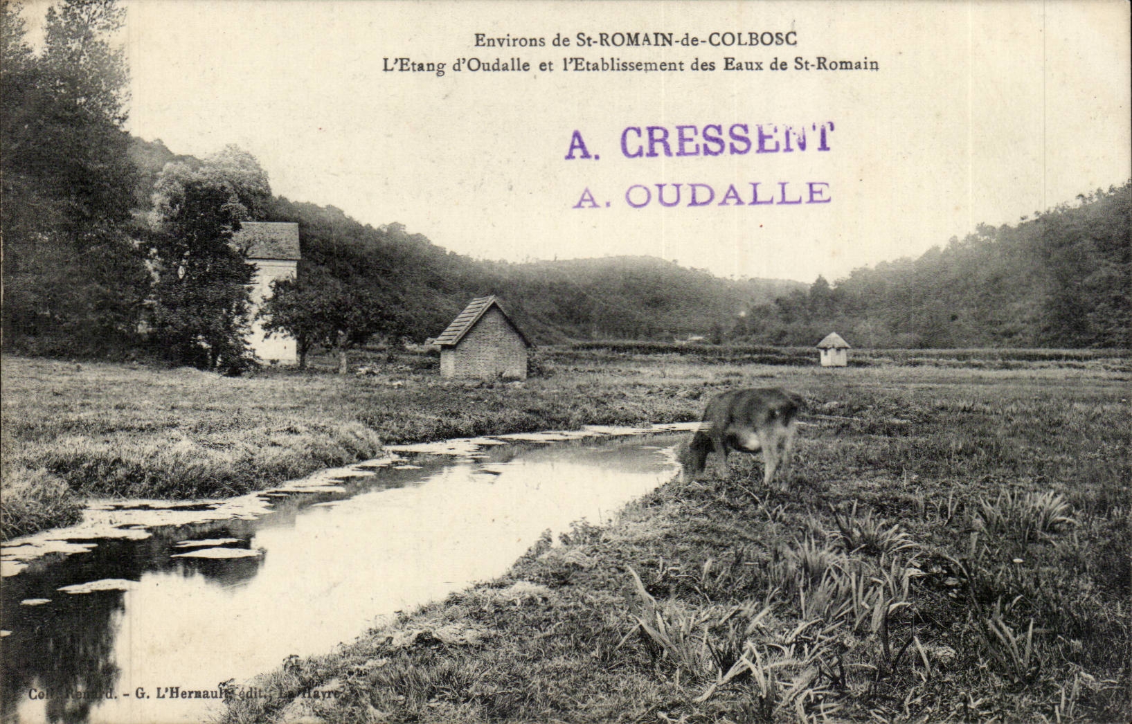 Environs de St Roman de Colbosc CPA L'etang d'Oudalle et l'etablissement des eaux de St Romain
