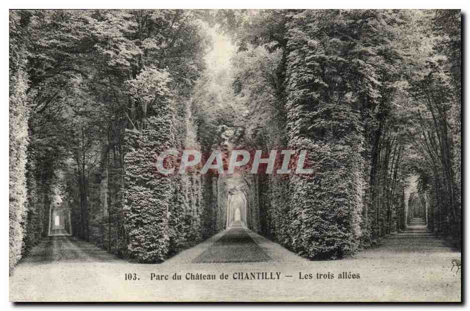 CPA Chateau de Chantilly Les trois allees