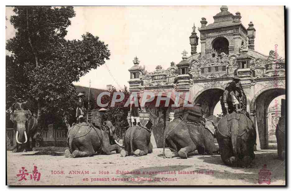 Annam Hue CPA Elephants s'agenouillant faisant les lais en passant devant le palais du Comat Indochine Indochina TOP