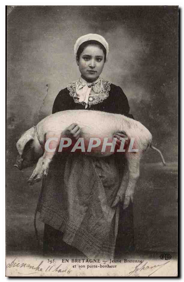 En Bretagne CPA Jeune bretonne et son porte bonheur (cochon pig)