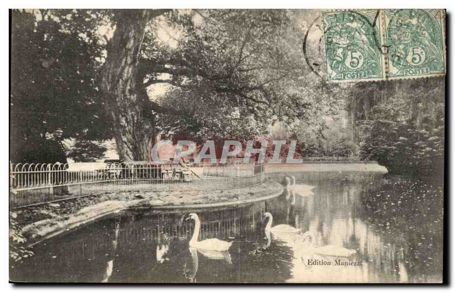 Vichy - Le Bassin des Cygnes - CPA 