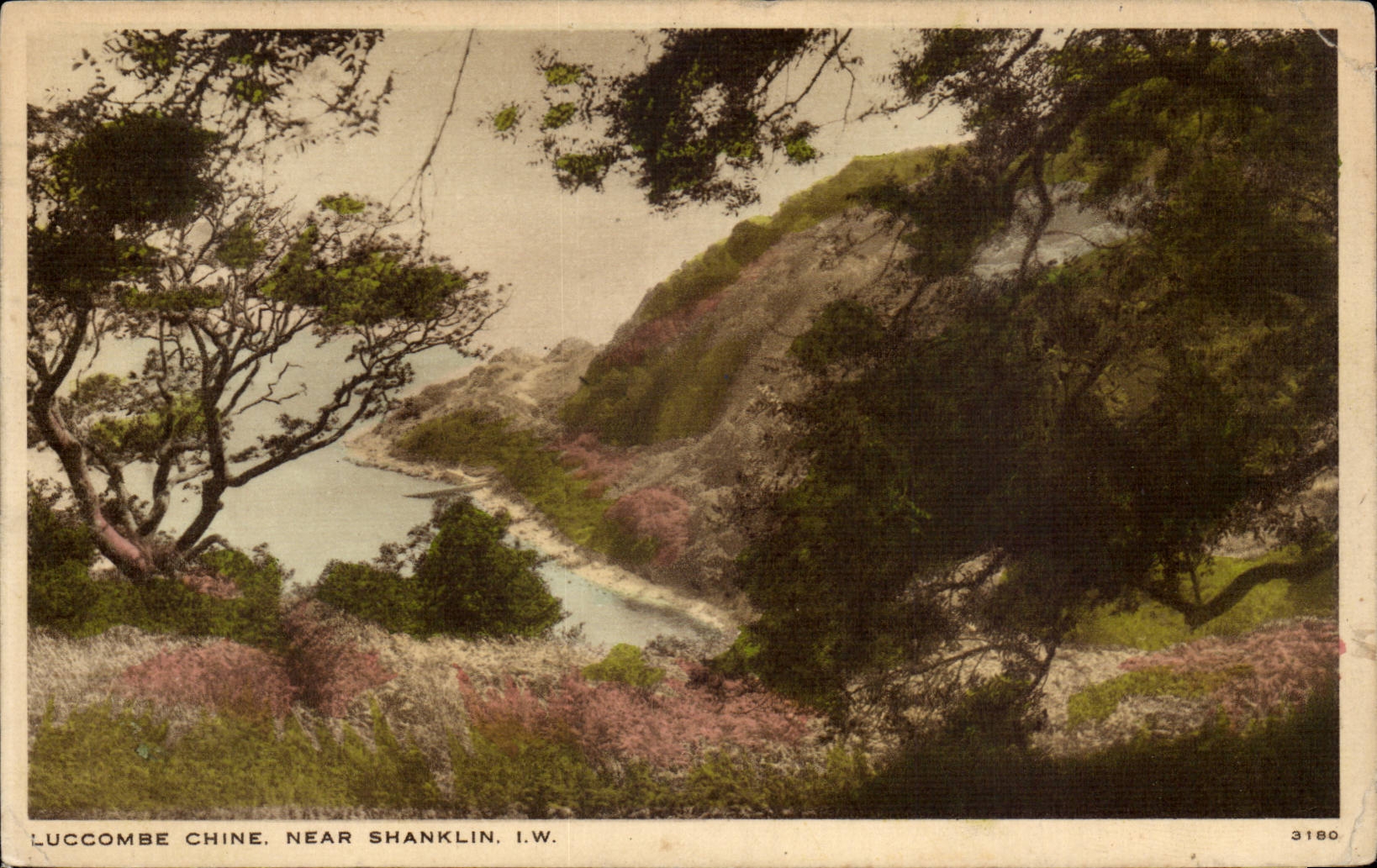 Grande Bretagne CPA Luccombe Chone Near Shanklin
