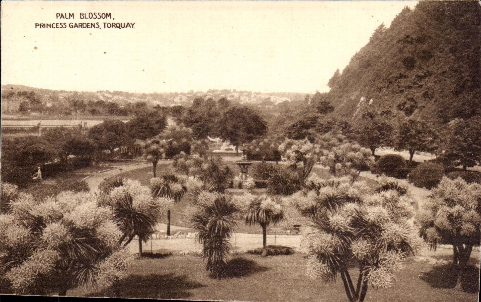 Palm Blossom, Princess Gardens, Torquay — éditeur Ern Bishop, Torquay