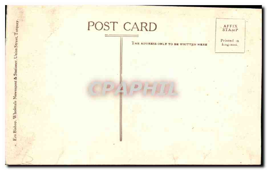 Palm Blossom, Princess Gardens, Torquay — éditeur Ern Bishop, Torquay — Back