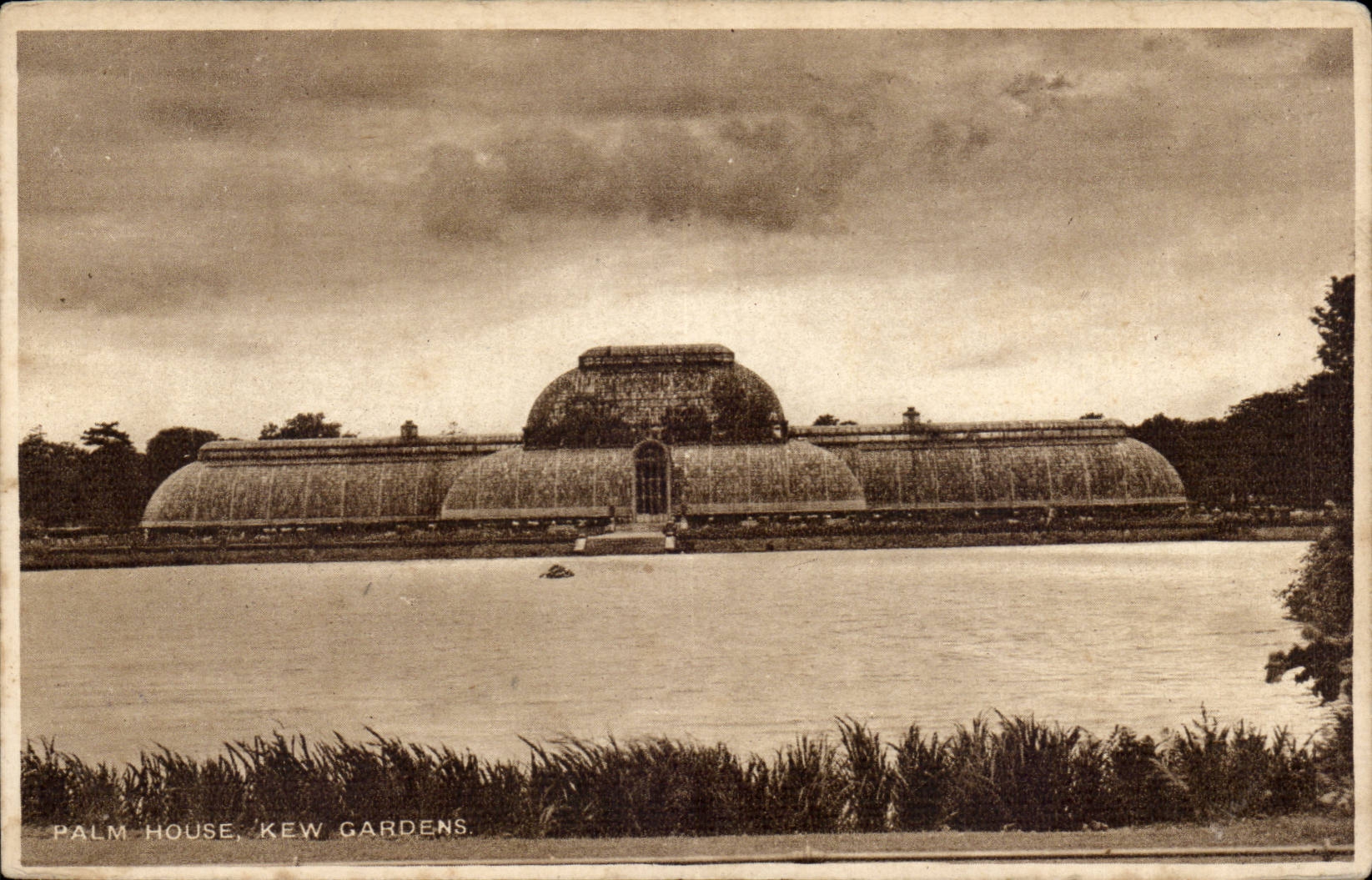 Grande Bretagne Great Britain Palm house Kew gardens CPA 