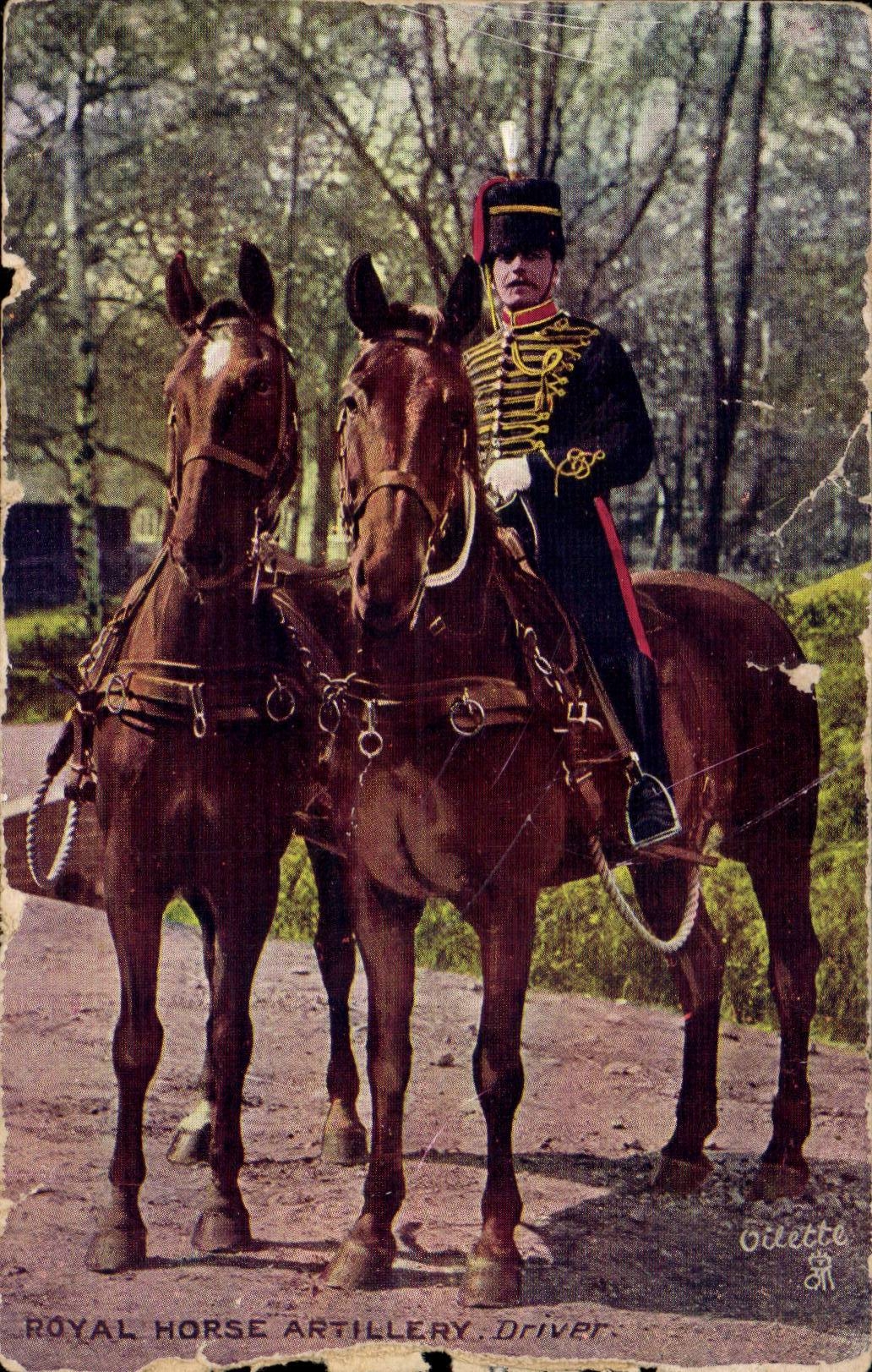 Royal Horse Artillery Driver — Gillette