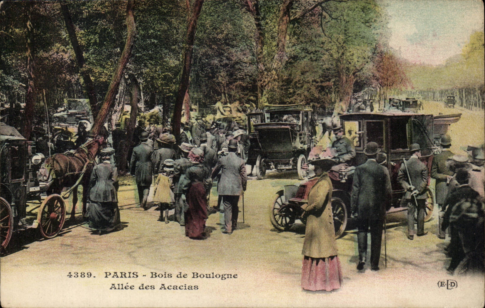 PARIS - Bois de Boulogne - Allée des Acacias — E.D. n° 4389