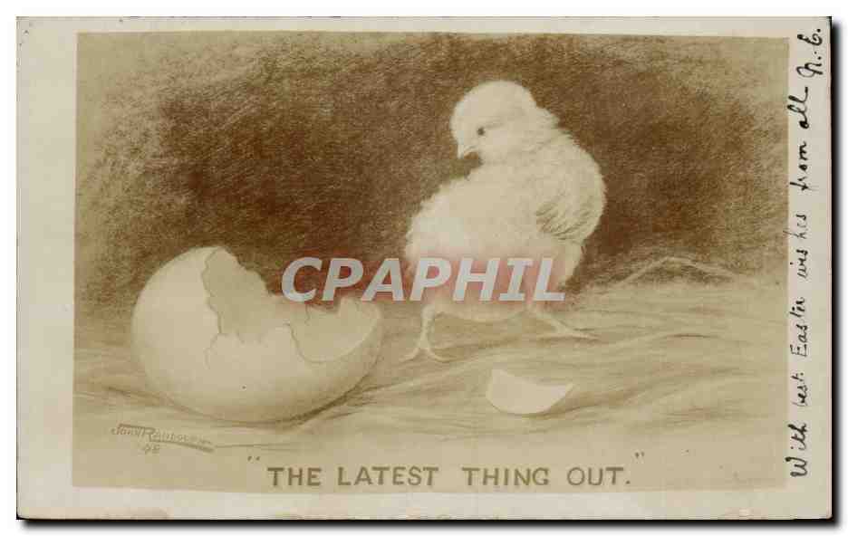 Grande Bretagne Great Britain CPA The latest thing out (poussin chicken)