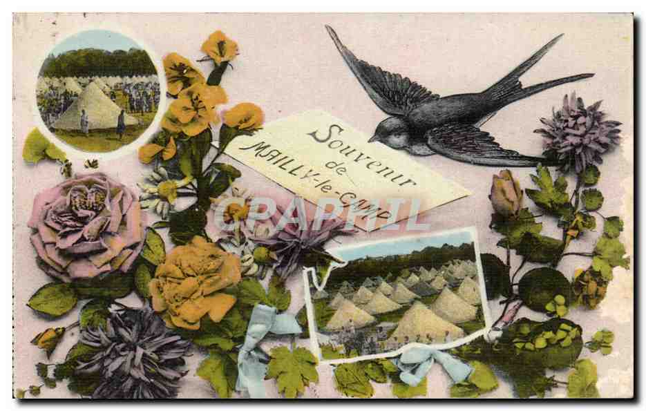 Mailly le Camp - Souvenir - fleurs - tentes - CPA 