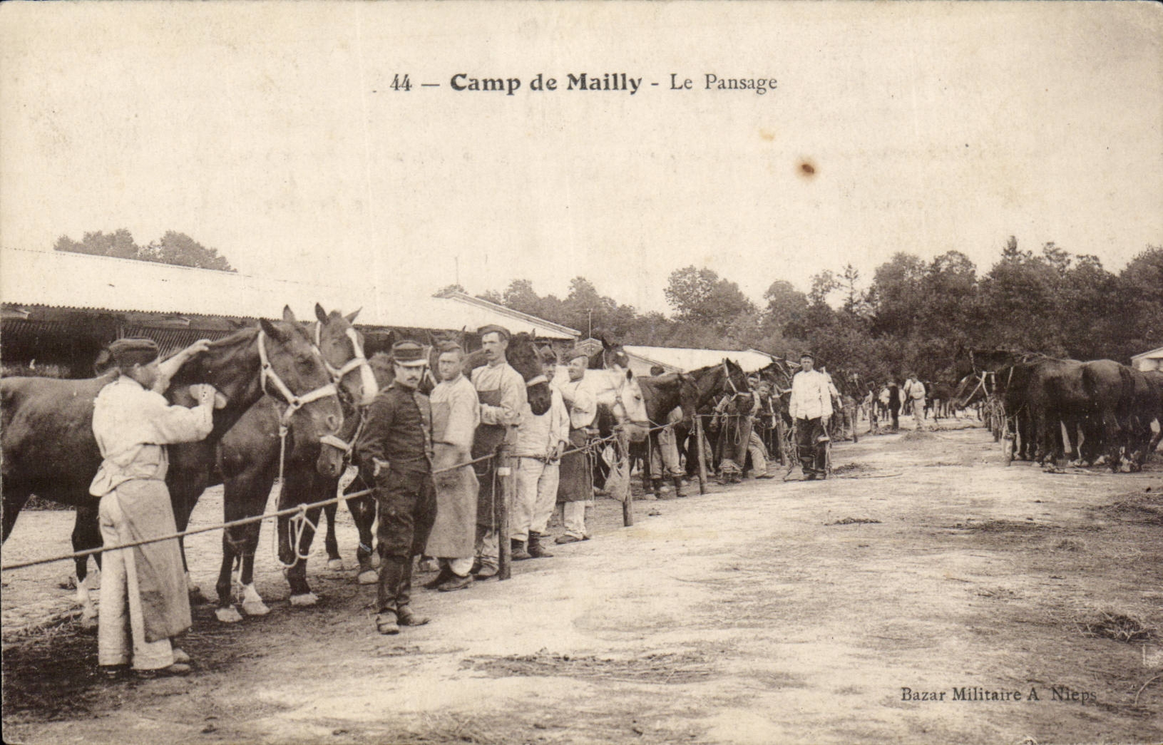 Camp de Mailly - Le passage - cheval - horse CPA 