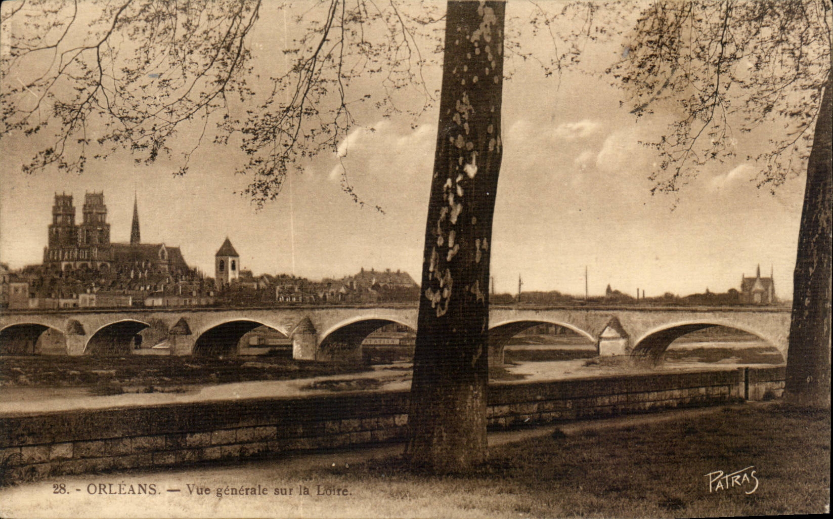 Orleans - Vue Generale sur la Loire - CPA 