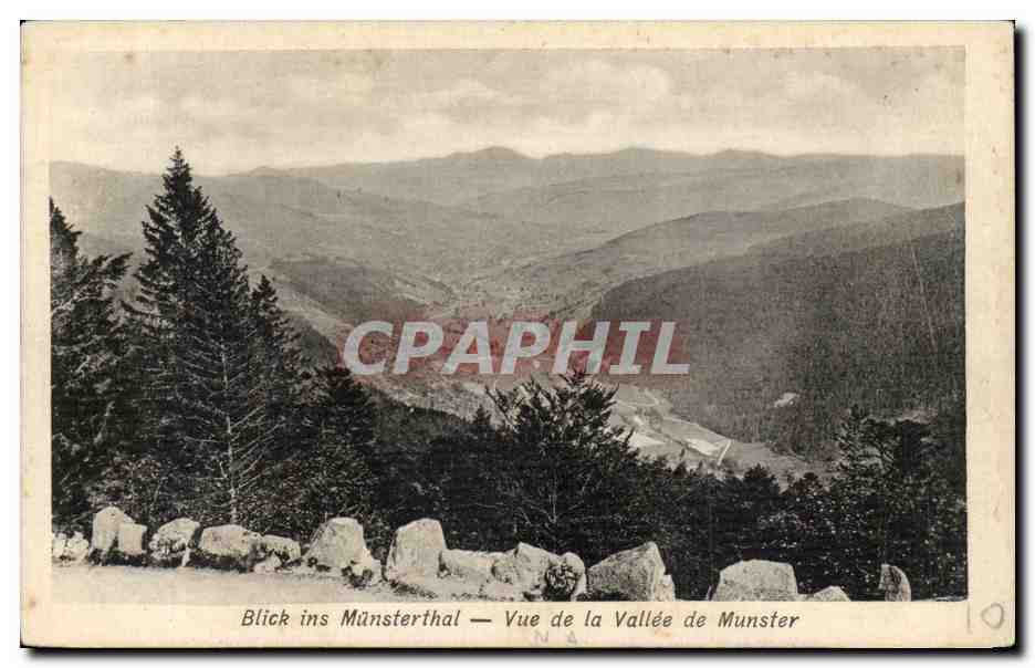 Blick ins Munsterthal CPA Vue de la vallee de munster