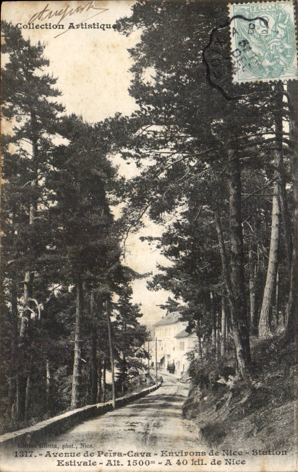 Avenue de Peira Cava - Environs de Nice - Station Estivale - CPA 
