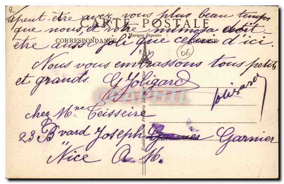 Nice CPA le palais de la jetee et les mouettes — Verso
