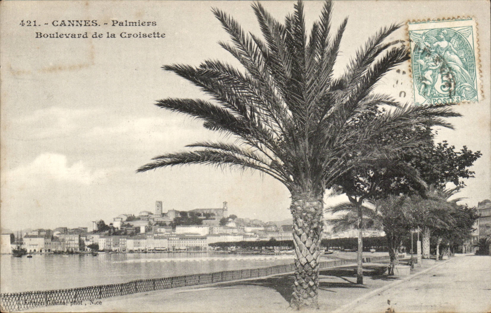 CANNES - Palmiers - Boulevard de la Croisette — éditeur Barton Gaetta, Nice, n° 421