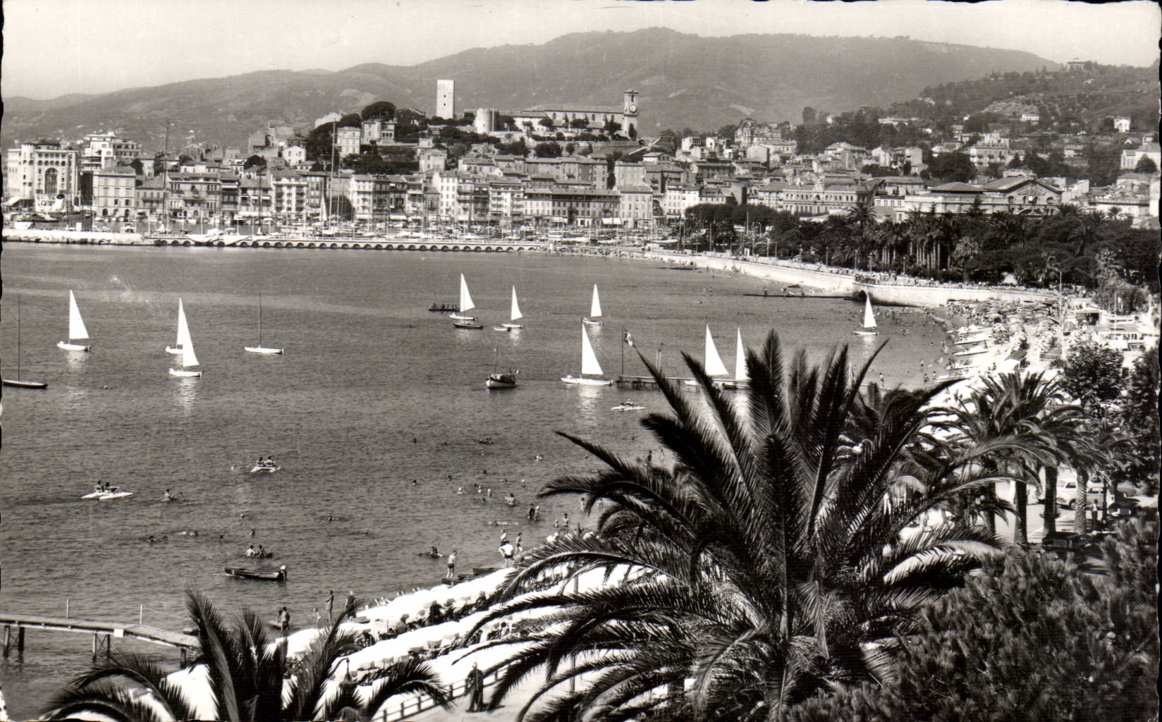 Cannes CPA Vue generale