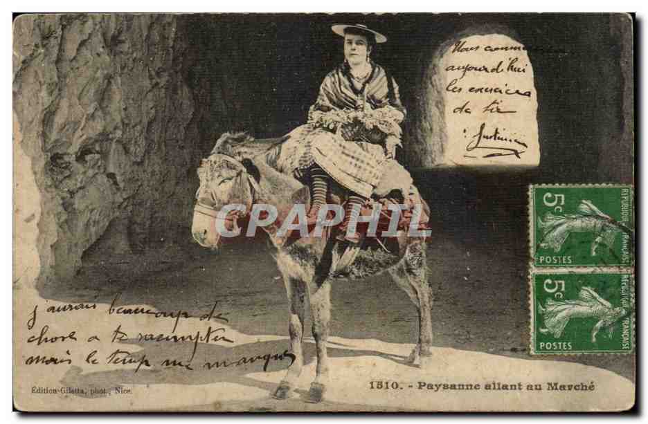 CPA Paysanne allant au marche cote d'azur (ane donkey mule)