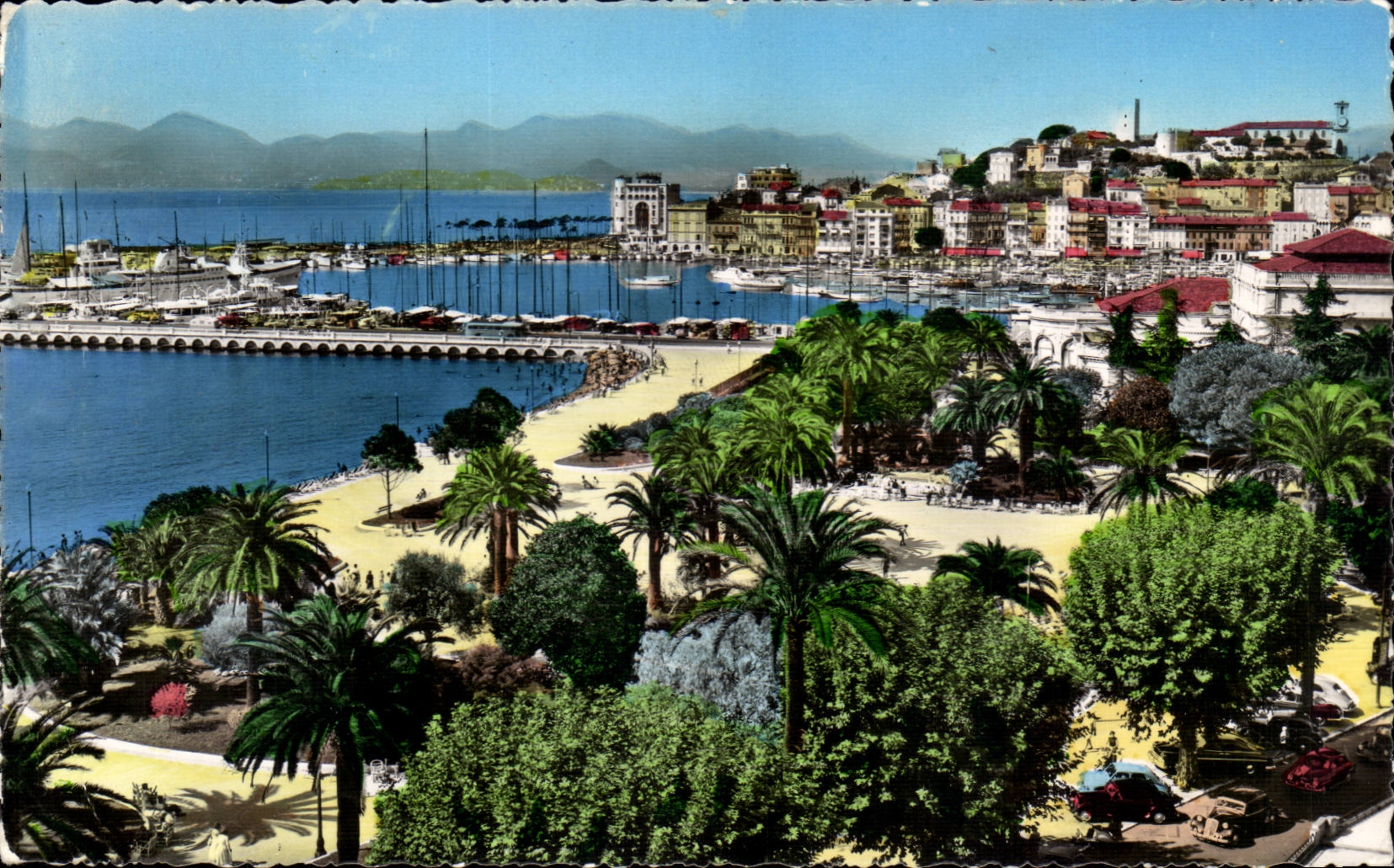 Cannes CPA Le jardin et le port