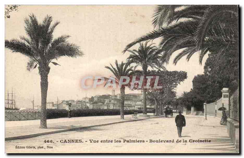 Cannes CPA Vue entre les palmiers Boulevard de la Croisette