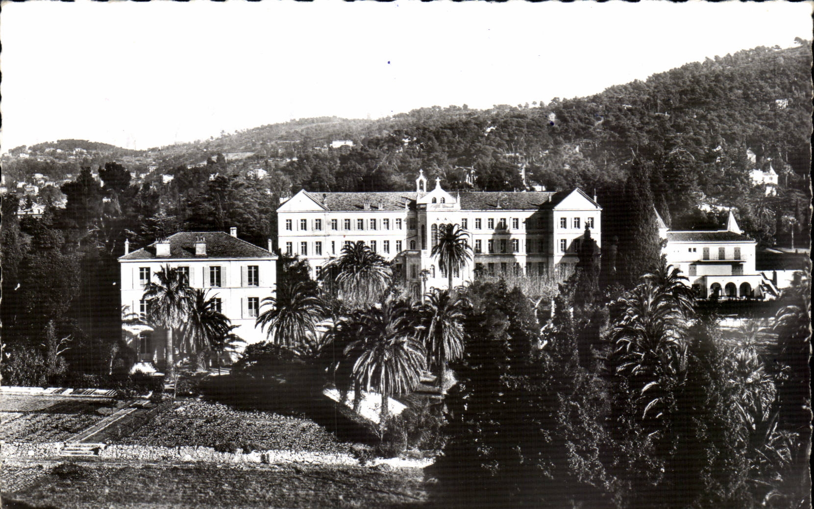 Cannes - Institut de l'assomption - Villa Lochabair - Avenue du Commandant Bret - CPA 