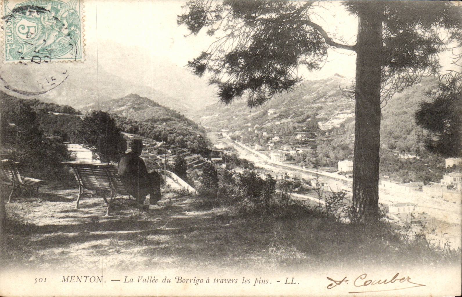 Menton - La Vallee du Barrigo a travers les pins - CPA 