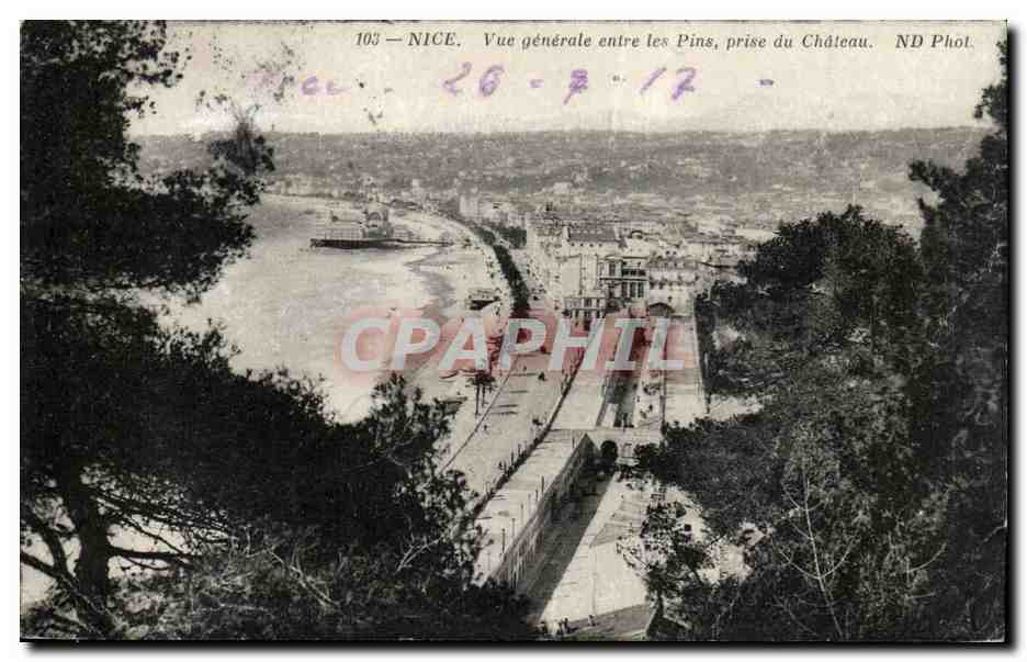 Nice CPA Vue generale entre les Pins prise du chateau
