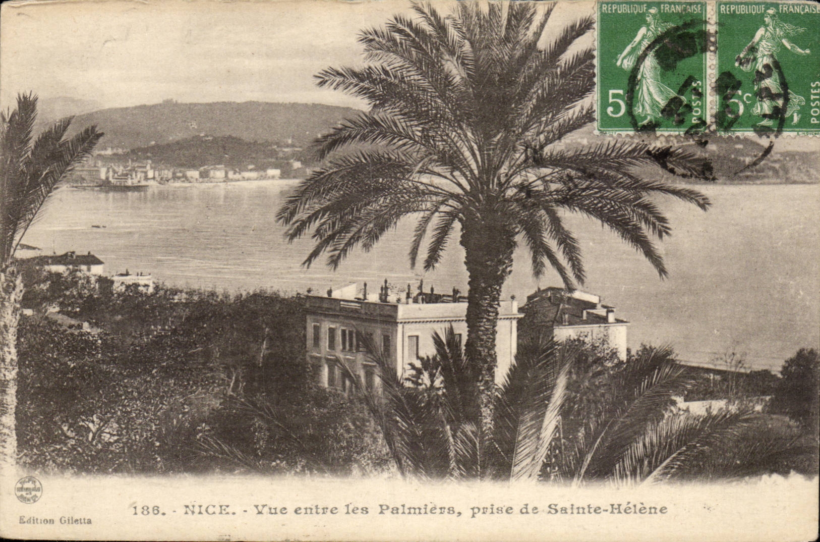 Nice CPA Vue entre les palmiers prise de Sainte Helene