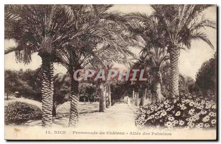 Nice CPA Promenade du chateau Allee des Palmiers