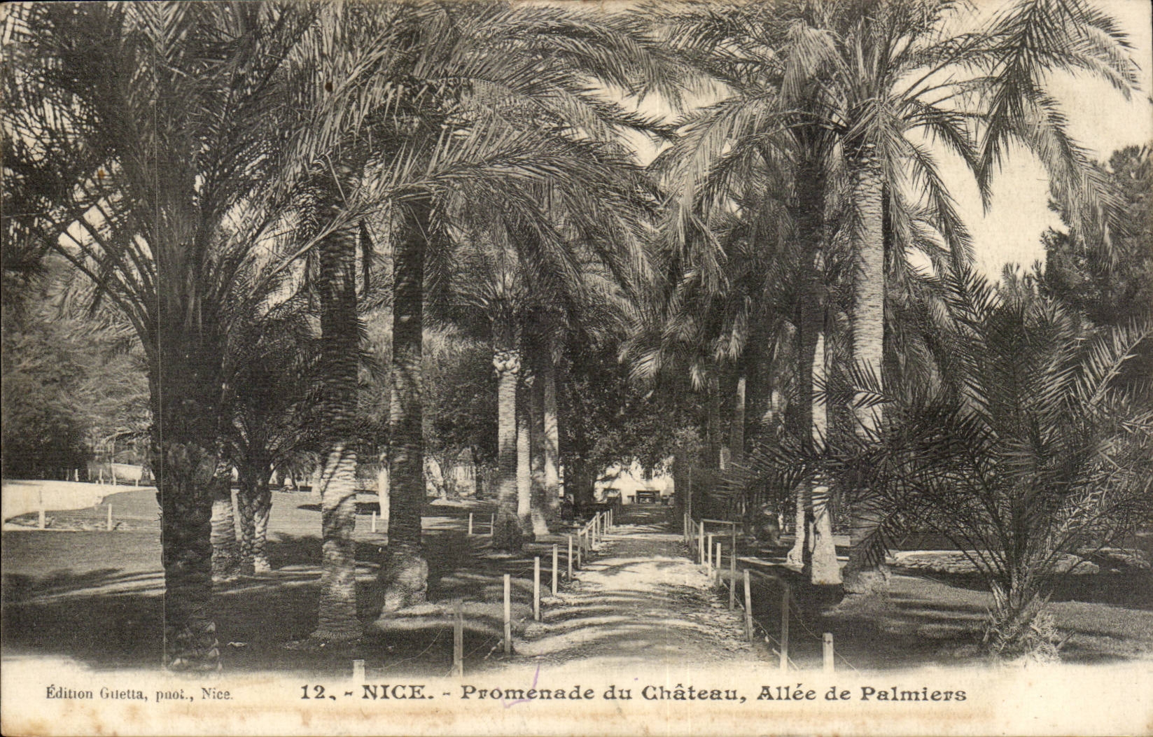 Nice - Promenade du Chateau - Allee de Palmiers - CPA 