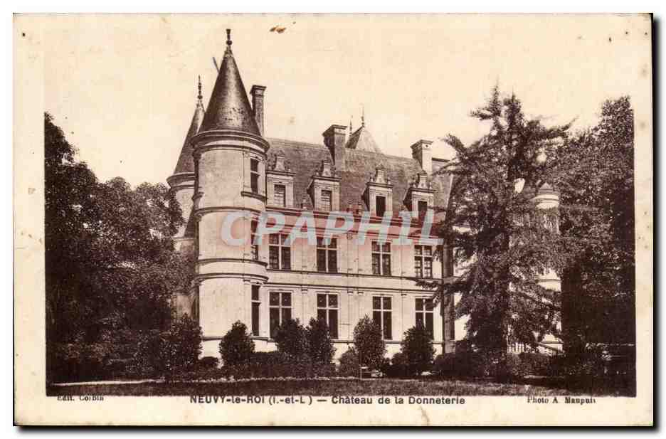 Neuvy le Roi - Chateau de la Donneterie - CPA 