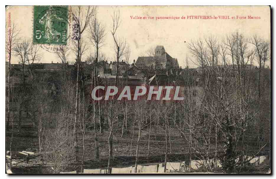 CPA Vallee et vue panoramique de Pithiviers la ville et Forte maison