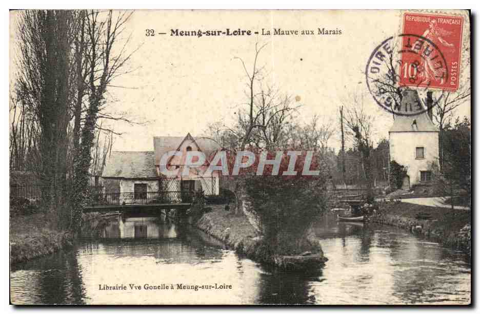 Meung sur Loire CPA La mauve aux marais