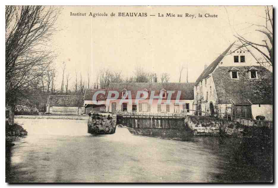 Institut Agricole de BEAUVAIS — La Mie au Roy, la Chute
