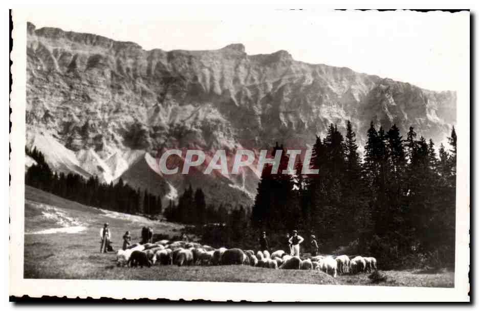 Trôneau de moutons sous les Aiguilles du Joly (3490 m) — Mégeve (74) — L. Mohand, Éditeur