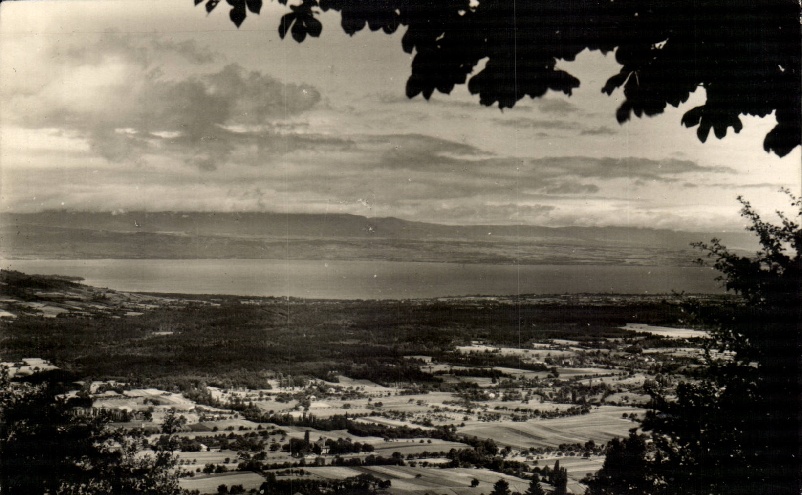 Saxel CPM Vue sur la Chablais et le lac leman