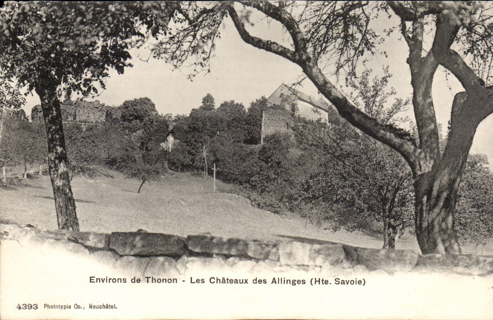 Environs de Thonon - Les Châteaux des Allinges (Hte. Savoie) — Phototypie Oo., Neuchâtel, n°4393