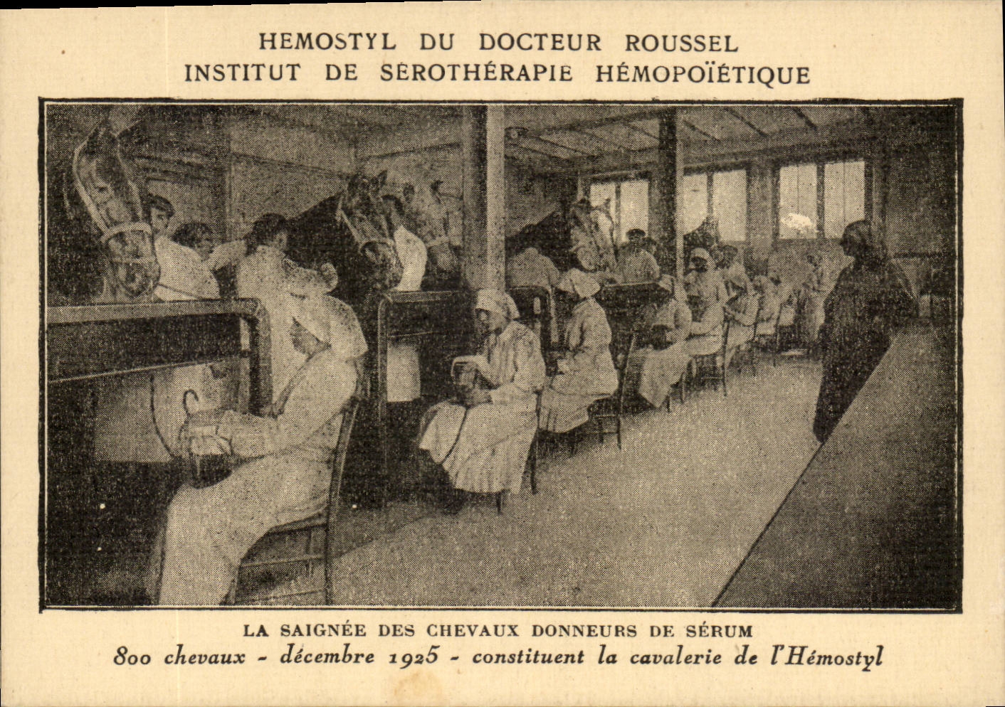 CPA Hemostyl du docteur Roussel Institut de Serotherapie Hemopoietique La saignee des chevaux donneurs de serum