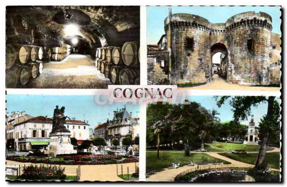 Cognac CPM Chai de reserve de Cognac Place Francois 1er Jardin de l'hotel de ville