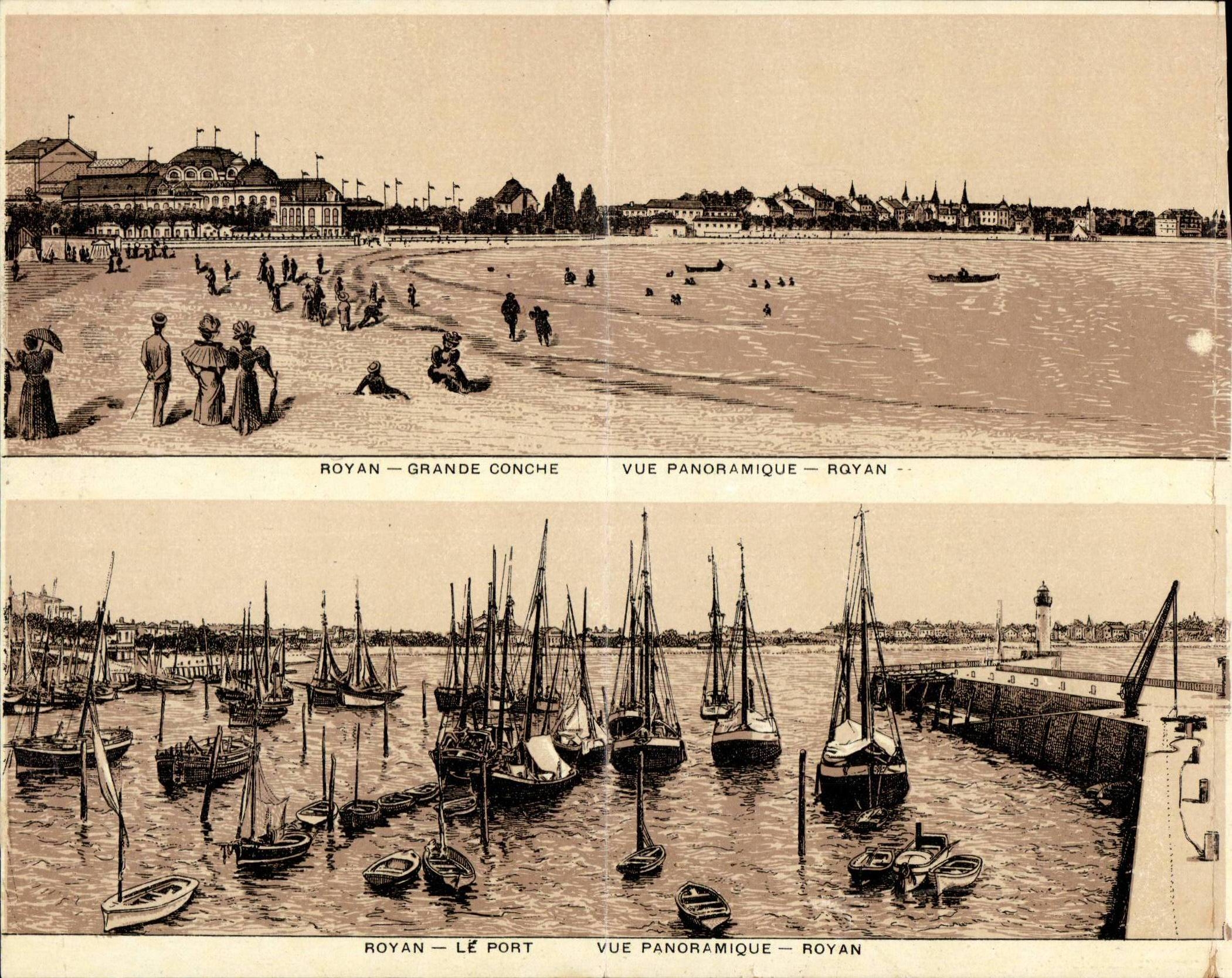 Royan - Grande Conche - Vue Panoramique - CPA 