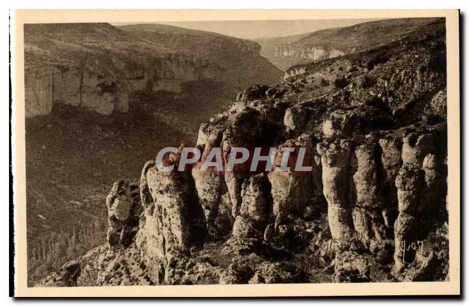 Gorges du Tarn - La canon de la Jonte - CPA 