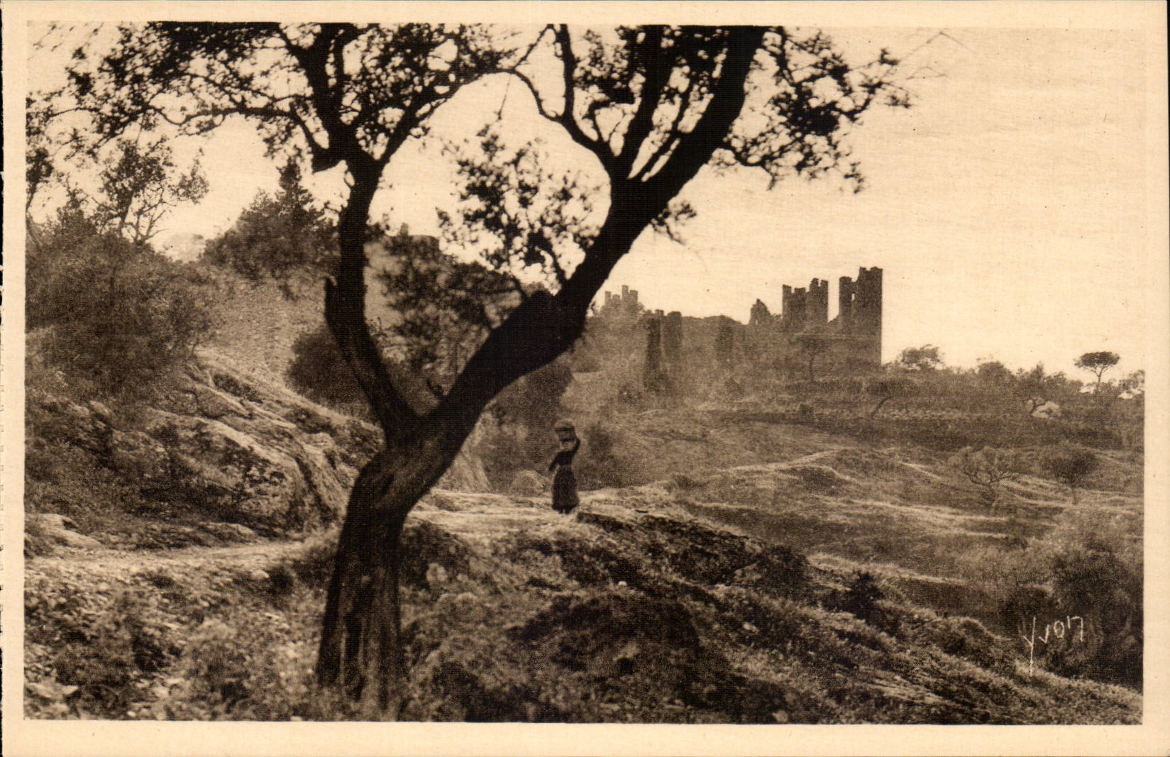 Le Vieux Château vu à travers les Oliviers — Hyères (Var) — Éditions La Douce France, n°332