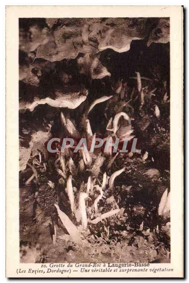 Grotte du Grand-Roc à Laugerie-Basse — Les Eyzies, Dordogne