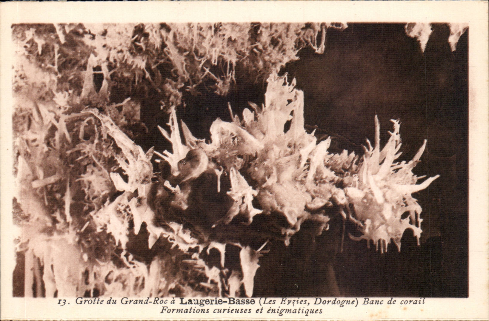 Grotte du Grand-Roc à Laugerie-Basse (Les Eyzies, Dordogne) — Banc de corail — Formations curieuses et énigmatiques — n°13