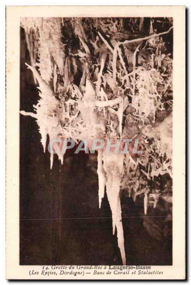 Grotte du Grand-Roc à Laugerie-Basse — Les Éyzies, Dordogne — Banc de Corail et Stalactites