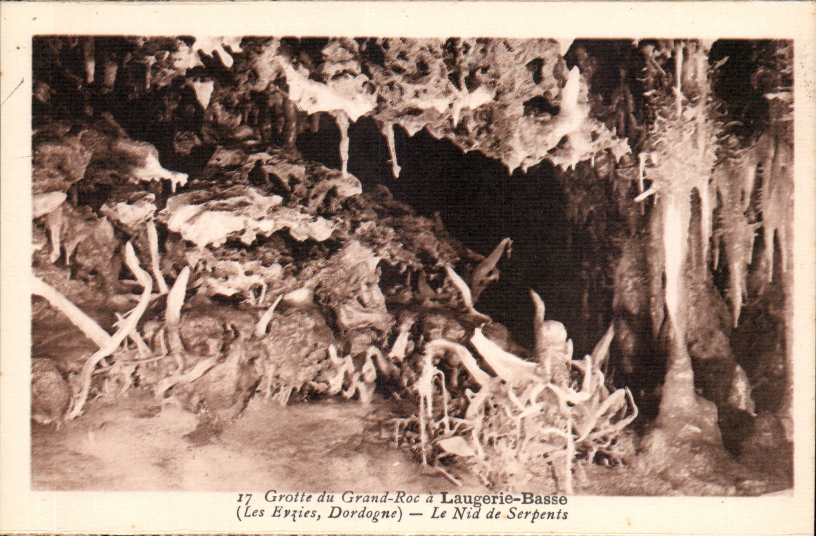 Grotte du Grand-Roc à Laugerie-Basse (Les Eyzies, Dordogne) — Le Nid de Serpents