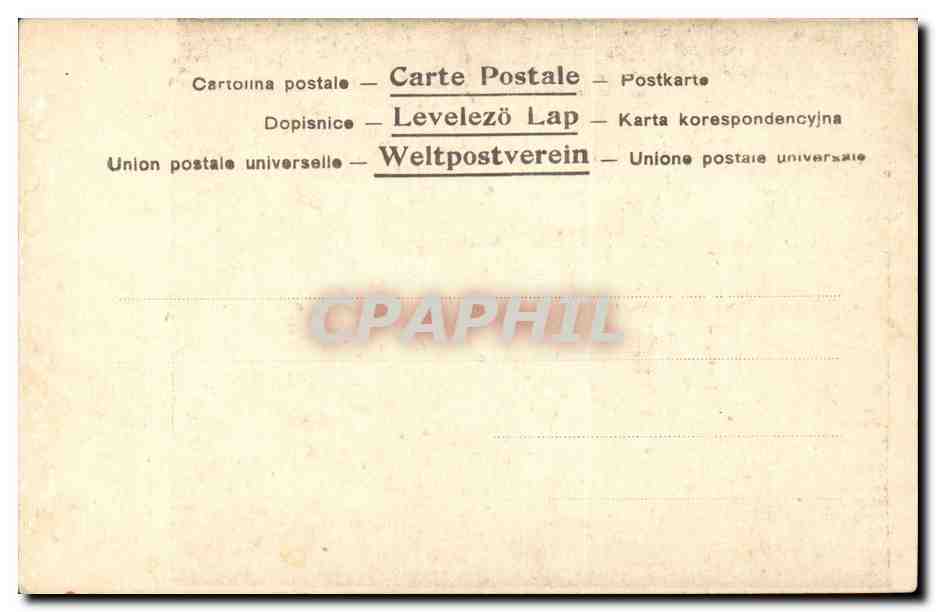 Italia - Italie - Vini Scelti - Fontana - Carciofi - Salviti CPA  — Rückseite