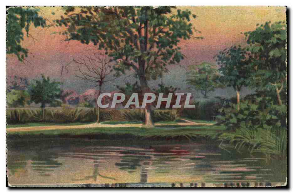 Arbres - Relaxing Scene CPA 