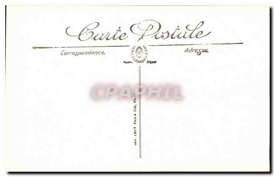 provence En Camargue CPA Manade Pouly Taureaux dans les paturages — Rückseite
