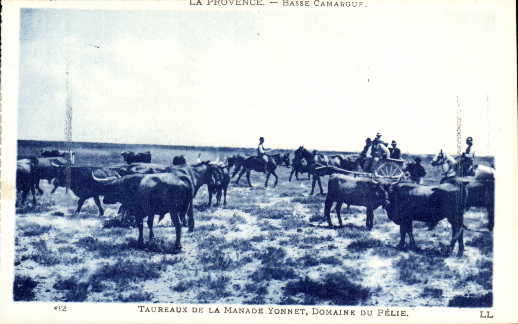 provence En Camargue CPA Manade Yonnet Taureaux Domaine du pelie